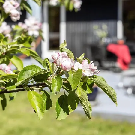 Tv1370-bindslev-humlevej-5 Prázdninový dům *